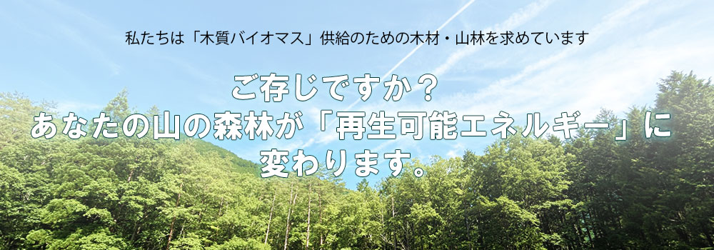 太陽光発電しませんか？